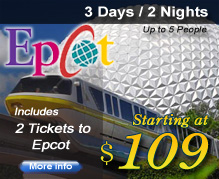 Disney World Vacation Packages